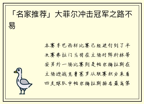 「名家推荐」大菲尔冲击冠军之路不易