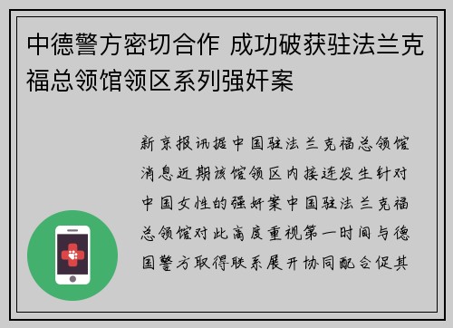 中德警方密切合作 成功破获驻法兰克福总领馆领区系列强奸案