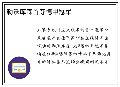 勒沃库森首夺德甲冠军